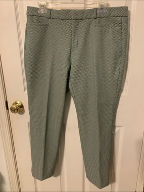 Banana Republic Factory Green Sloan Pants  12P